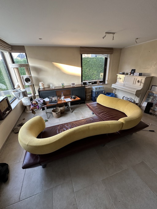 Gelderland Boa modular sofa
