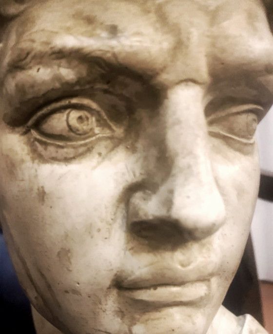 Image 1 of Bust of David Michelangelo, handcrafted in 2000