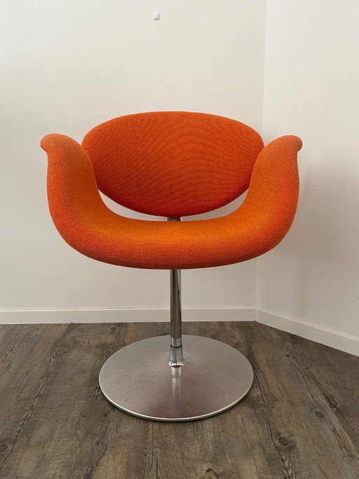 Artifort Little Tulip F163 Swivel Armchair