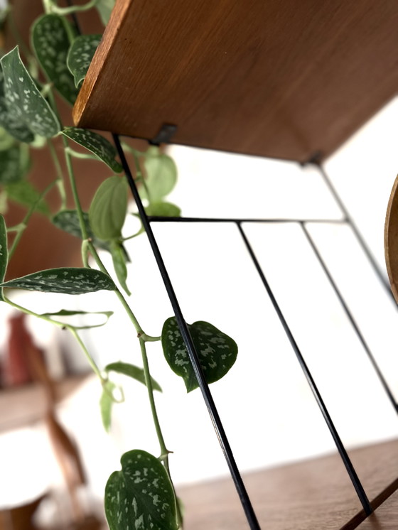 Image 1 of Portaoggetti da parete vintage XL, WHB Germania anni '60