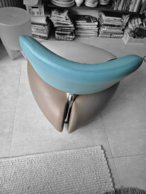 Image 1 of Pallone Pa Leolux Icon in beautiful blue with camel and cream.