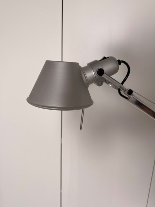 Artemide Tolomeo Terra Stehleuchte – Giancarlo Fassina & Michele De Lucchi