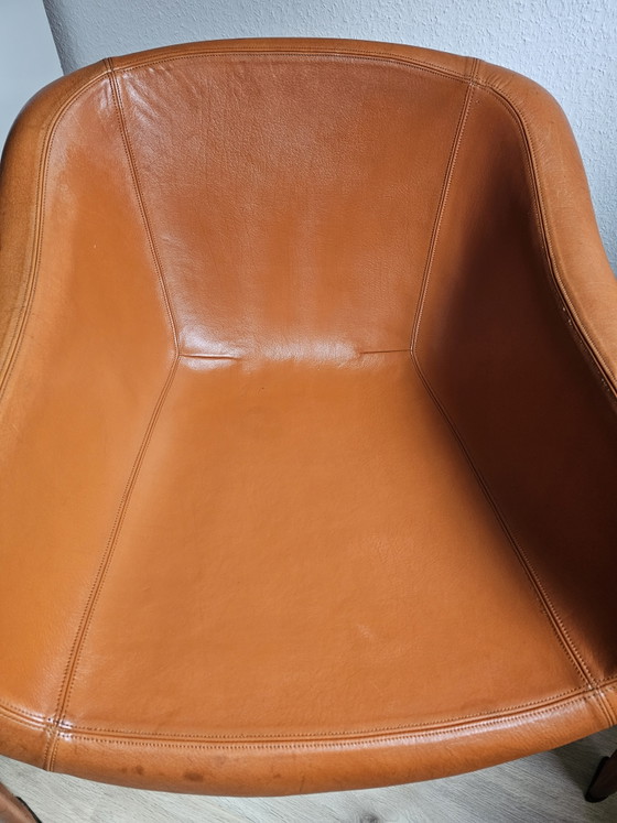 Uiterst zeldzaam: Sergio Mazza Space Age Fiberglass Lounge Chair – Volledig lederen uitvoering (jaren 60/70) (photo 5 of 15)