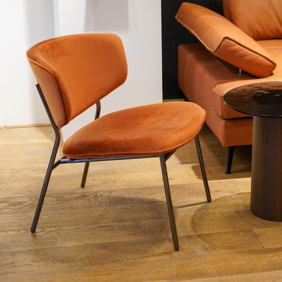 Image 1 of Poltrona Calligaris Fifties Lounge | Velluto | Modello da esposizione