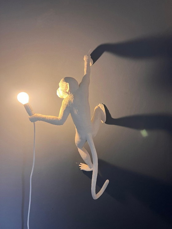 Image 1 of De apenlamp, hangende versie rechts 01