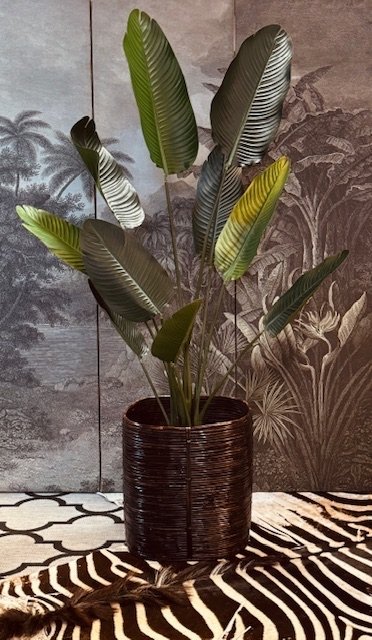 Reed Pencil Plant Basket in Style Crespi