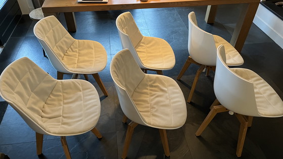 Image 1 of 6x Italia Mff Flow dining chair