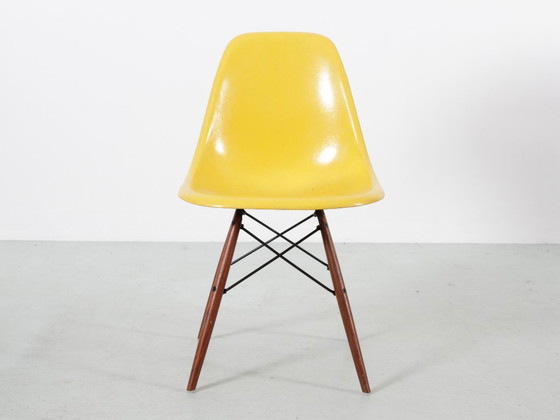 Set van 4 DSW Charles Eames stoelen - Gele glasvezel Herman Miller editie – Eetkamerstoelen, Fiberglass (photo 9 of 18)