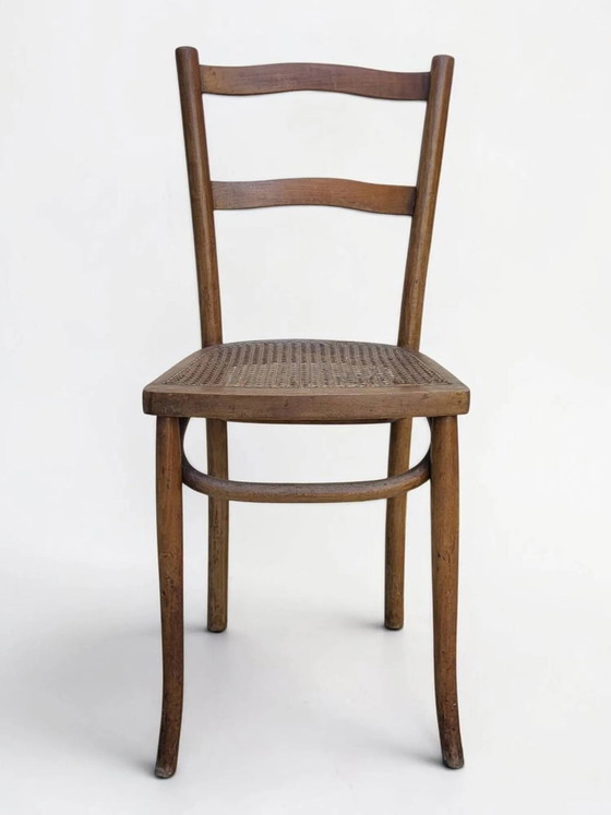 Sedia da bistrò impagliata – Sedie da pranzo, Wood, Art Nouveau (photo 3 of 12)