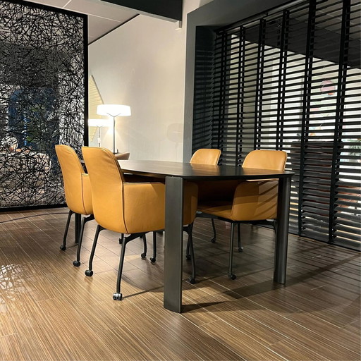 Leolux Gyon en Tico Gentle eetkamerset  200 x 100 cm (set van 4)