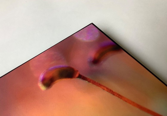 Image 1 of Art photo Rouzbeh Tahmassian