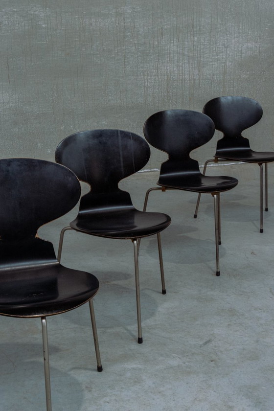 Image 1 of set of 4x first editions Ant chairs Arne Jacobsen for Fritz Hansen