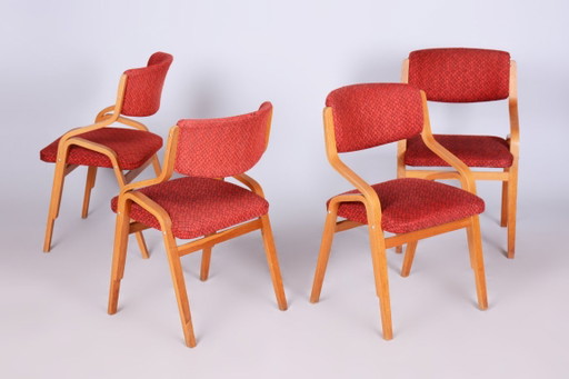 Ensemble de quatre chaises originales de style Mid-Century, par Ludvik Volak, en érable, République tchèque, années 1960