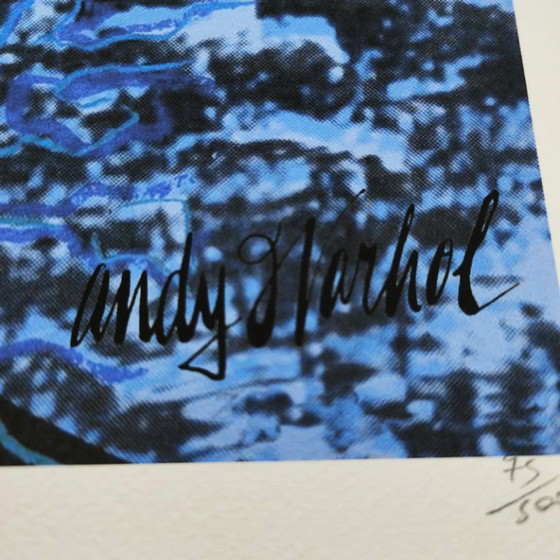 Image 1 of Litografia in edizione limitata di Andy Warhol, realizzata da CMOA e numerata a matita.