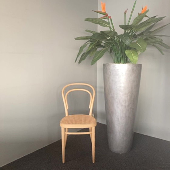 Image 1 of Thonet 214 eetkamerstoel