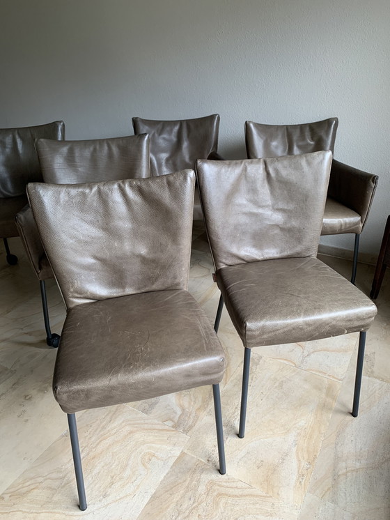 Image 1 of LABEL van den Berg Eetkamerstoelen Mali en Gabón