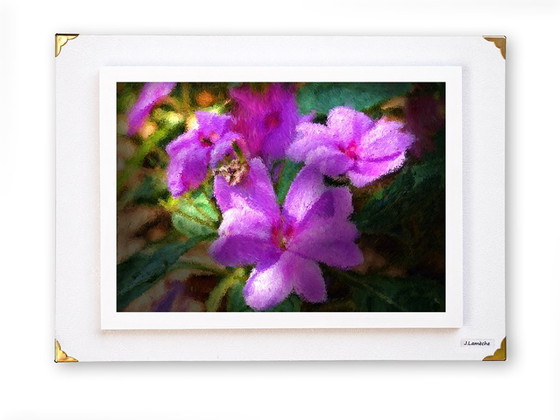 Image 1 of Fotografia impressionista