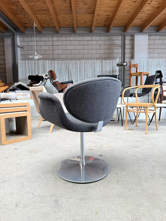 Image 1 of 4x Piccolo tulipano Artifort