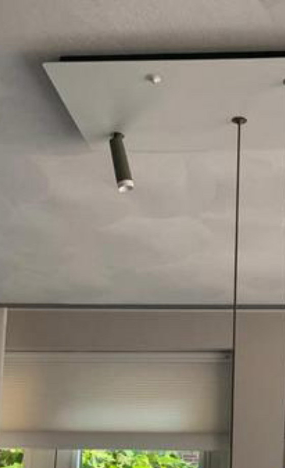 Image 1 of Vintage Tobias Grau Plafondlamp - Grote Plaat 120x40cm Lampen 2 Valbladeren