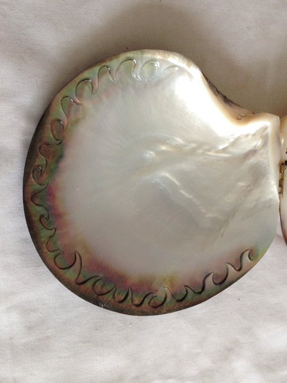 Image 1 of Doosje van parelmoer, gegraveerd met een tropisch tafereel.