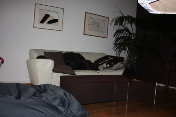 Image 1 of Montis Corvette