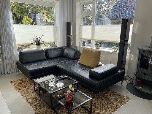 Leather modular sofa kebe rexx