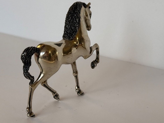 Image 1 of Cheval Saturno en argent massif