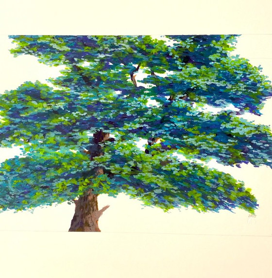 Cedro Libanés – Pinturas y dibujos, Paper (photo 2 of 6)
