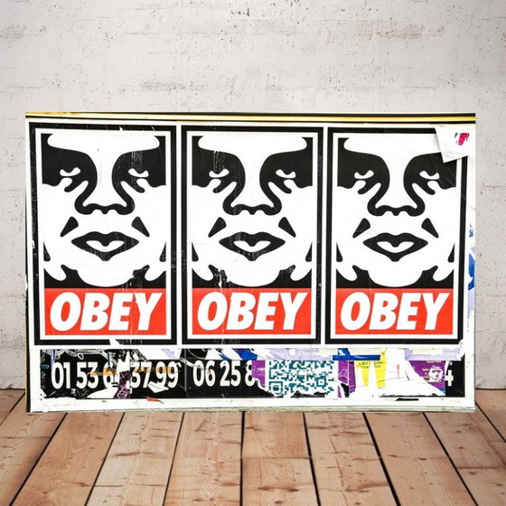 Printed photo / limited series / Obey / Paris Poster / Street art, Art Prints, Plexiglass, Multi Color (photo 4 of 5)