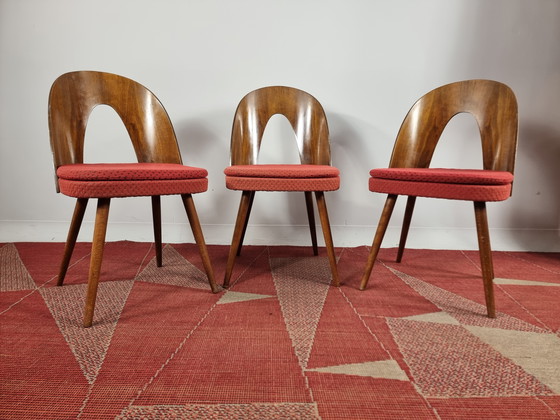 Image 1 of Vintage Chairs By Antonin Suman, 1960S, Set Of 3