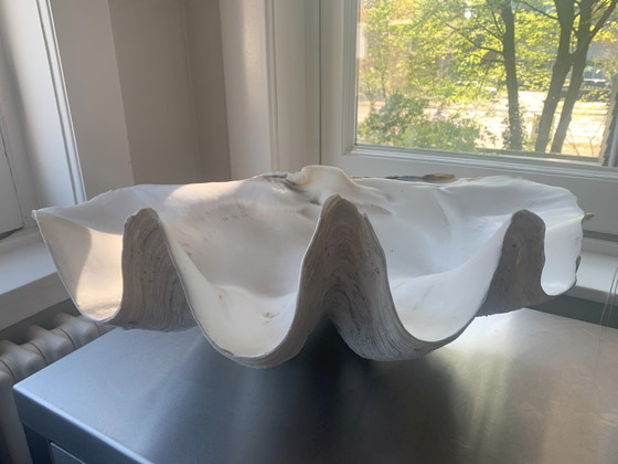 Image 1 of Beautiful Baptismal Font Shell