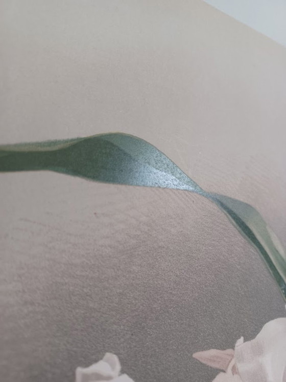 Image 1 of Cromolitografía original rara «Reichenbachia» (1888) – H.G. Moon