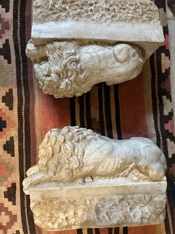 Image 1 of Canovas Löwen