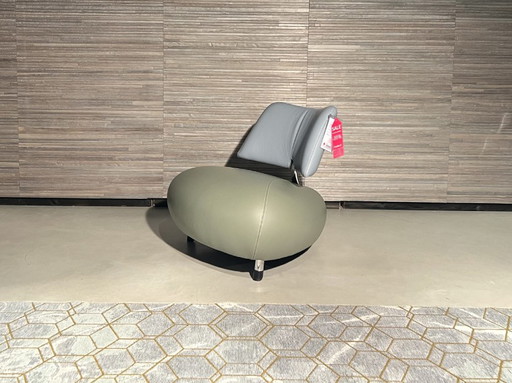 Pallone Pa Free Choice