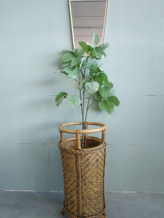 Image 1 of Porte-parapluie vintage en bambou et rotin Porte-plante