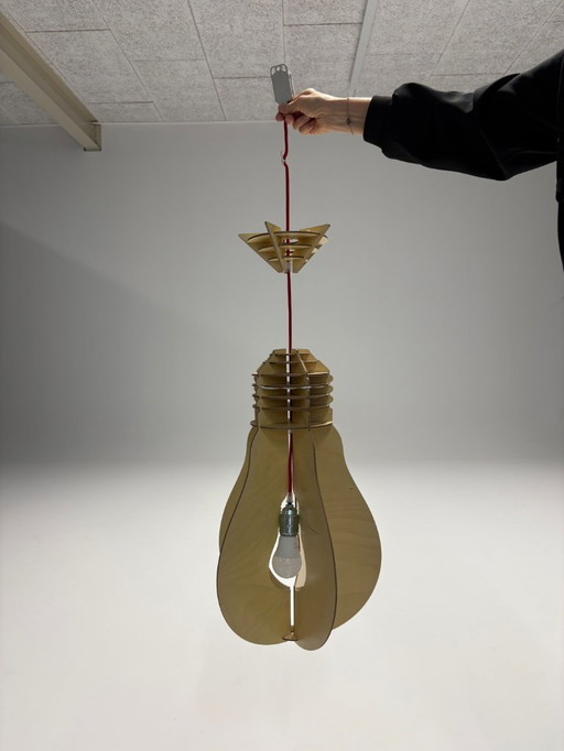 Lande Illuminate hanglamp