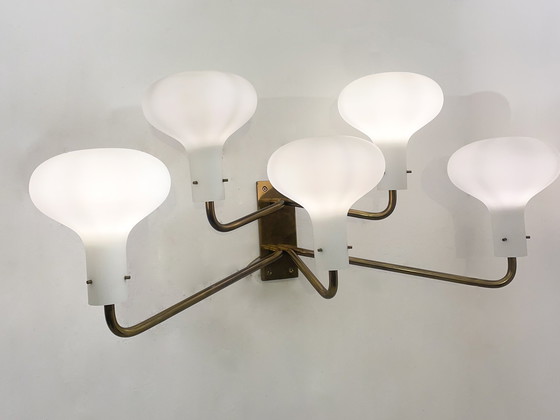 Image 1 of Mid Century Wandlamp " Lp12" van Ignazio Gardella, Azucena, 1960S