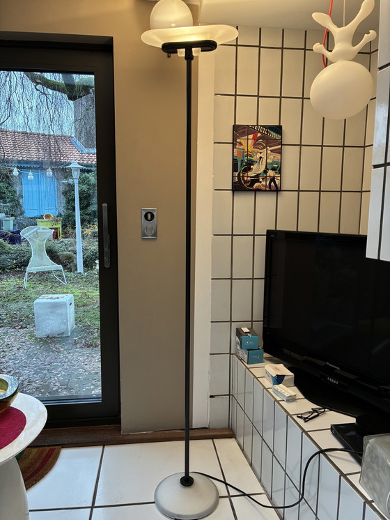 Image 1 of Lampadaire Arteluce “Jill” – Perry King & Miranda