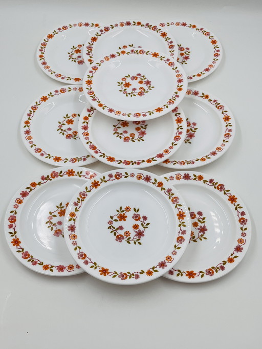 Set mit 10 Desserttellern Scania