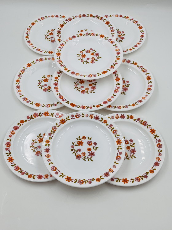 Image 1 of Juego de 10 platos de postre Scania