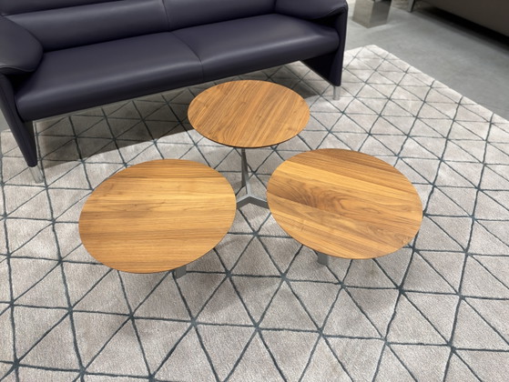 Leolux Ninfea Coffee table walnut houf, Wood, Multi Color (photo 8 of 14)