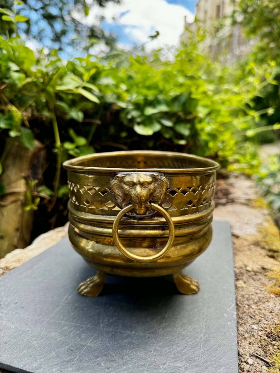Jardinera león de latón barroca siglo XIX – Macetas, Brass, Barok (photo 2 of 5)