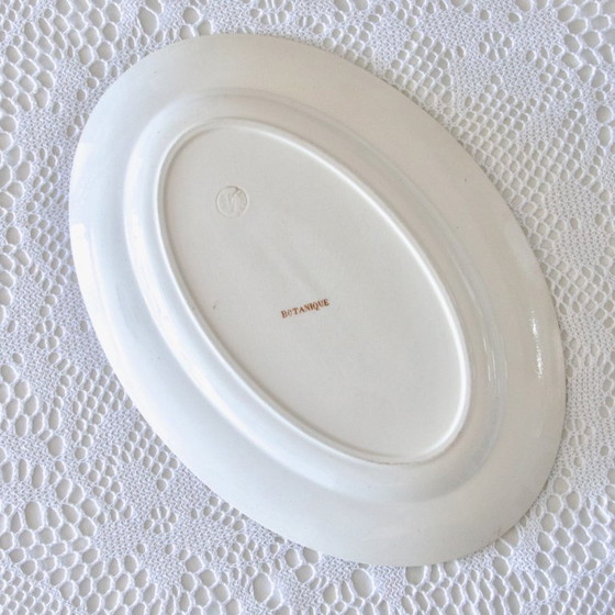 Image 1 of Grand Plat Ovale XIXe signé Longwy Terre De Fer Sépia "Botanique"