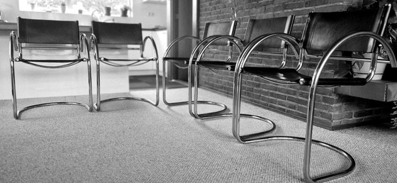 Image 1 of 5 bellissime sedie con struttura tubolare