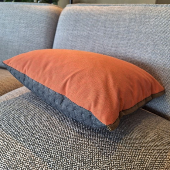 Image 1 of dew salmon