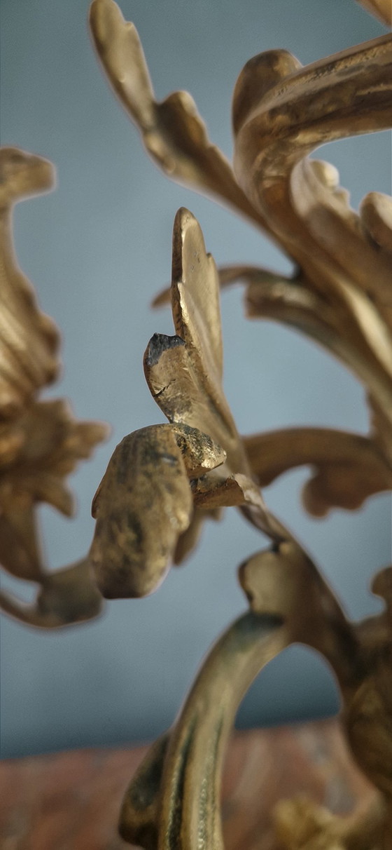 Image 1 of Pair of gilt bronze candelabra – Louis XV style – 19th century