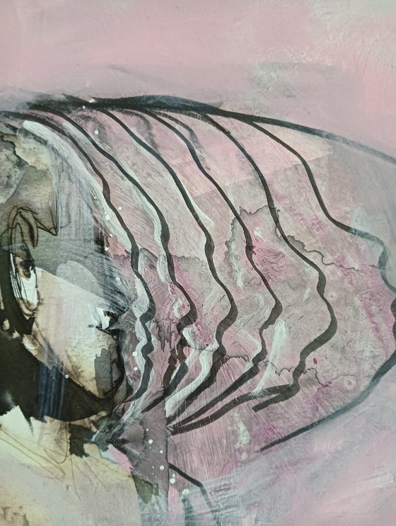 Image 1 of Rob Jacobs - Split Personality