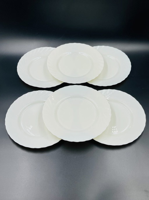 6 Arcopal Trianon dinerborden