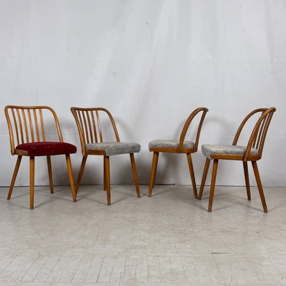 Image 1 of Jitona Tsjechoslowaakse eetkamerstoelen, jaren 60 – set van 4