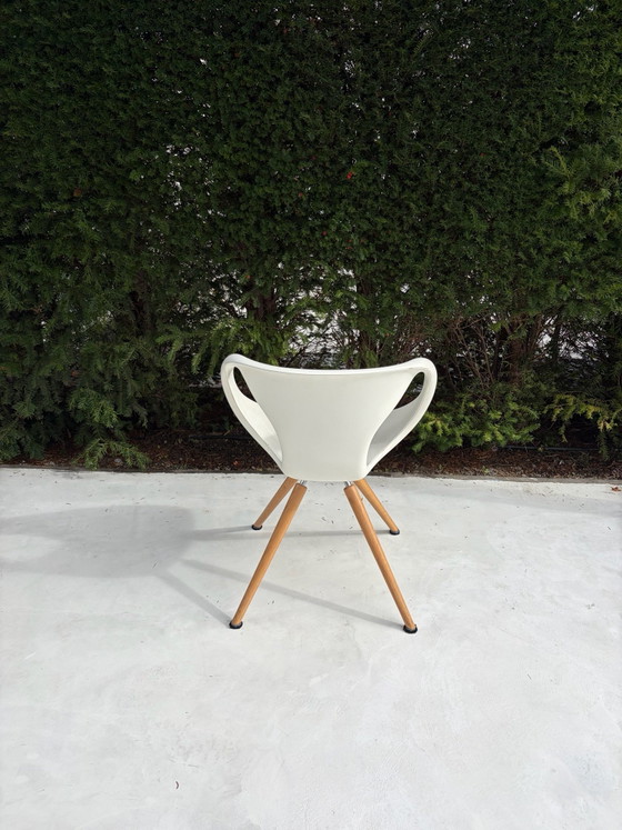 Tonon Design Esszimmerstühle – Metall, Kunststoff (photo 3 of 10)